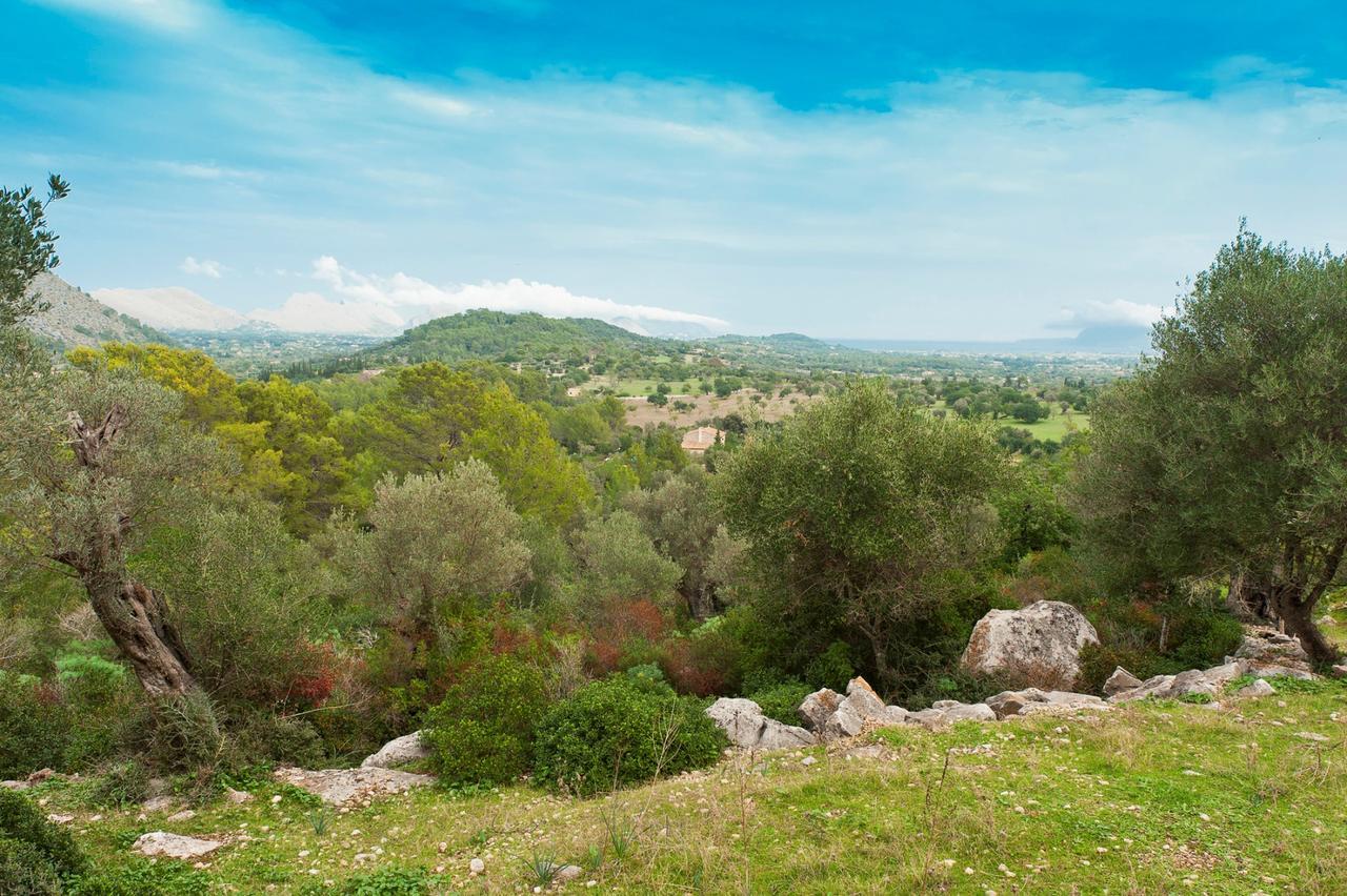 Guillo Villa Pollença